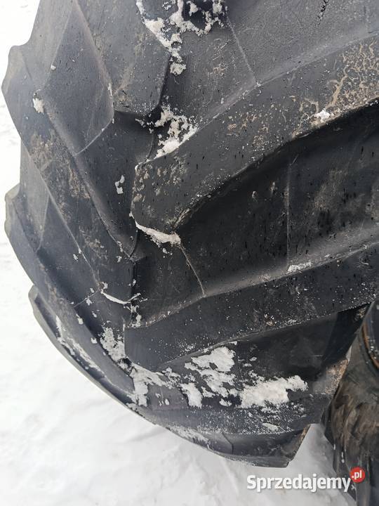 Opony 650 65 42 pirelli