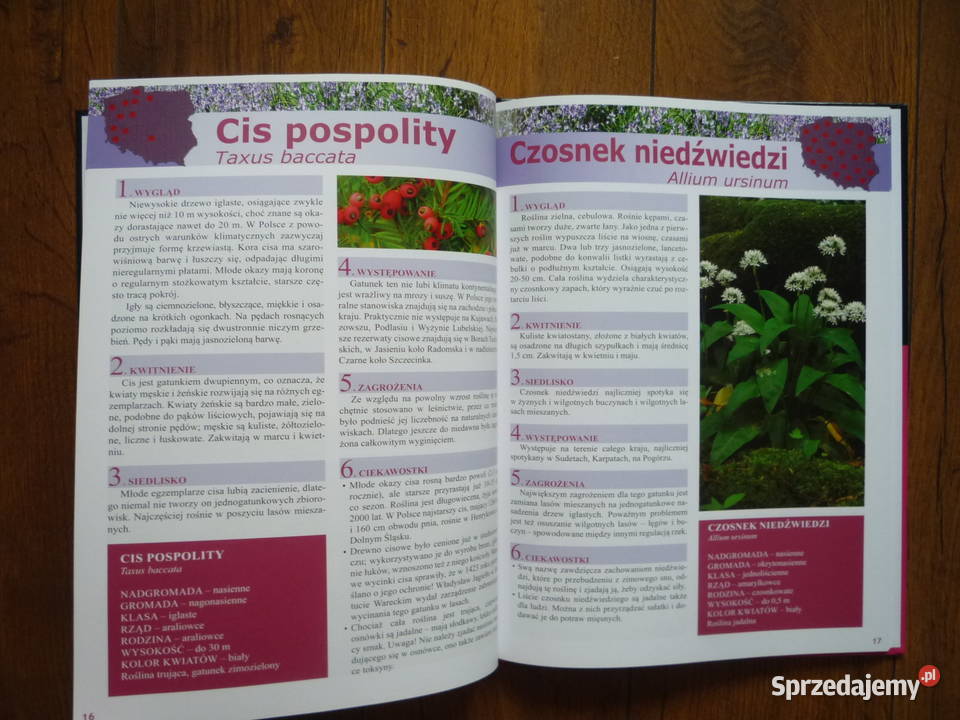 Nowa Książka Album Przewodnik Rośliny chronione Rok wydania 2020 zachodniopomorskie Szczecin