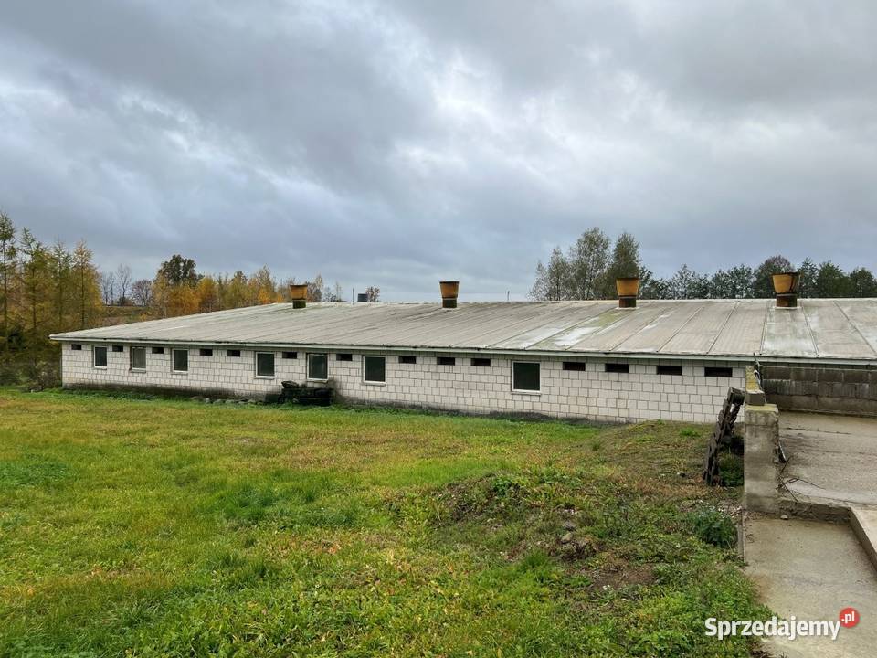 Syndyk sprzeda 12 nieruchomości Cimoszki gm sprzedam