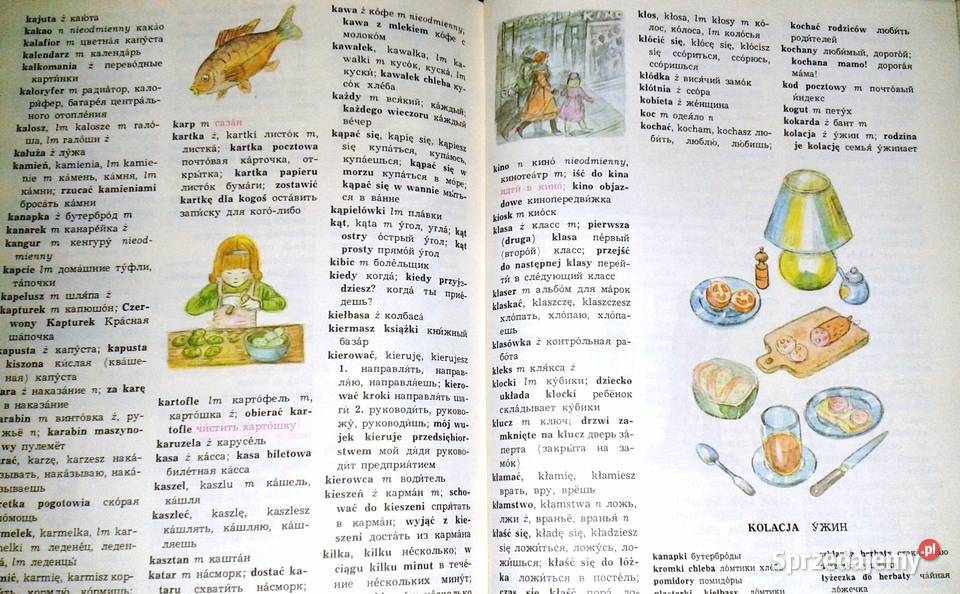 Ilustrowany słownik dzieci Rosyjskopolski lubelskie Chełm