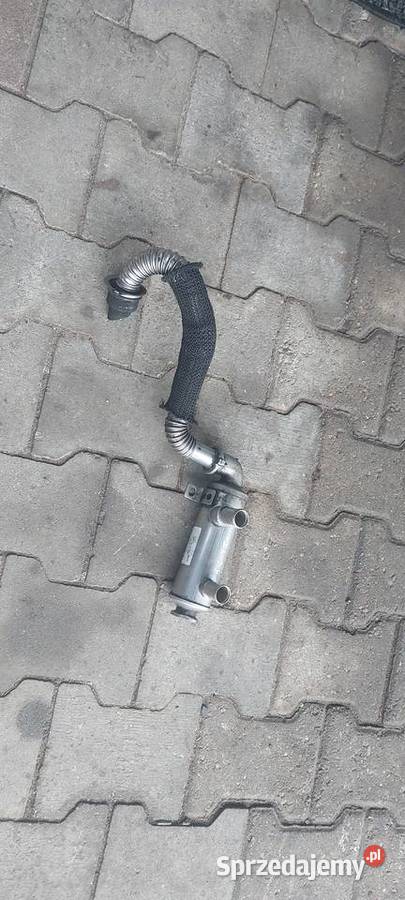 Chłodnica spalin 9646762280 Ford Citron 16 tdci zachodniopomorskie Szczecin