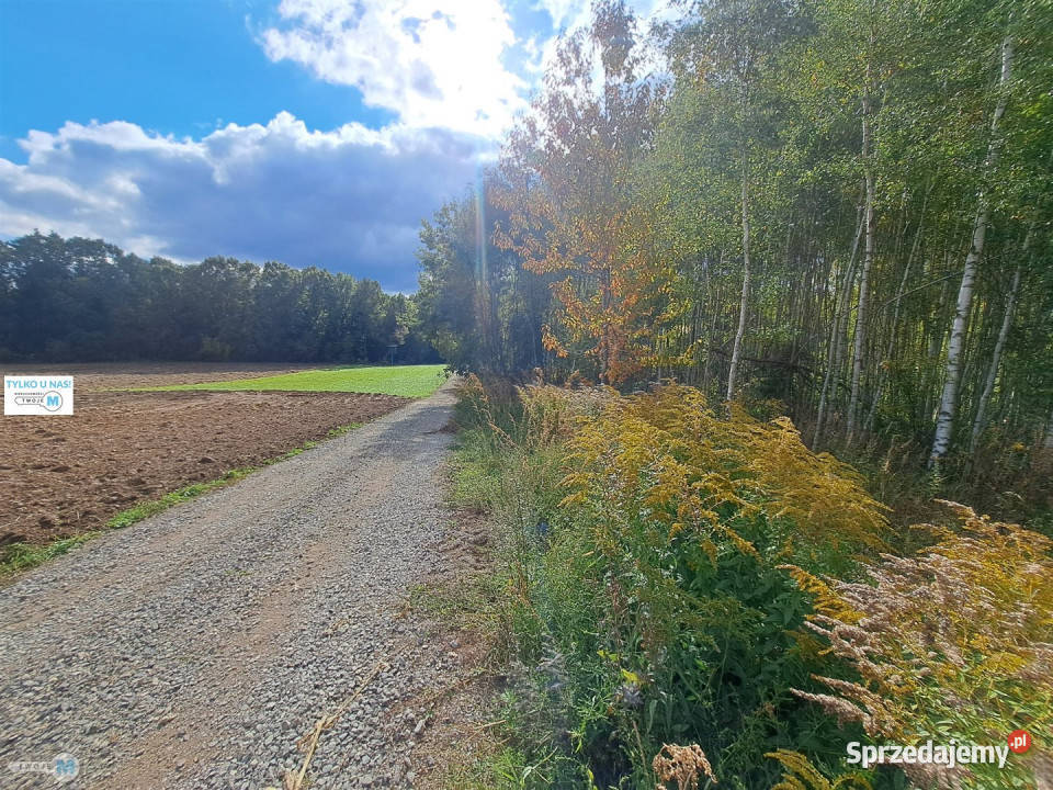 Grunt 8879m2 Łagów świętokrzyskie