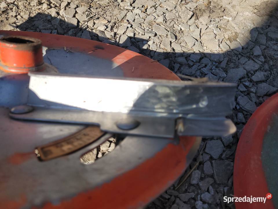 Taleze rozsiewacza amazone Zdziłowice