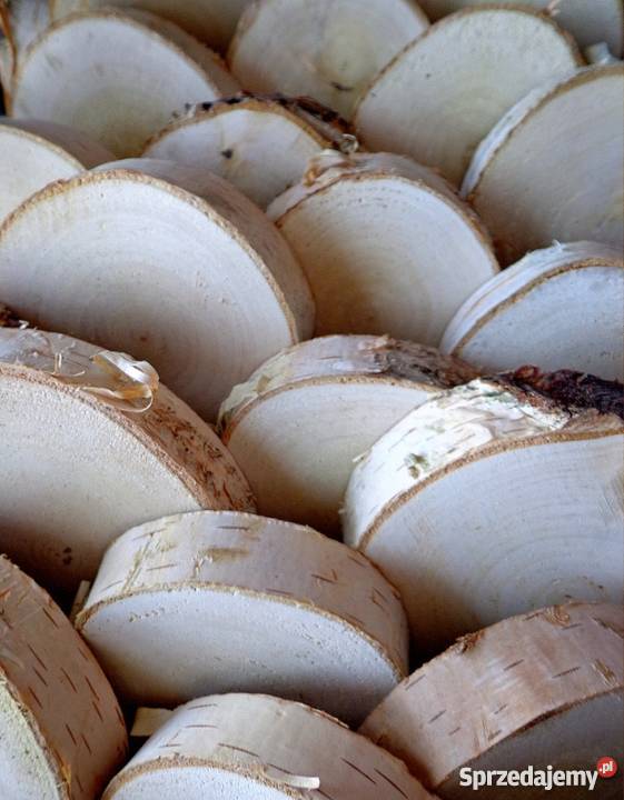 Plastry drewniane krążki drewna brzoza 1417 odcienie brązowego Dekoracje i ozdoby