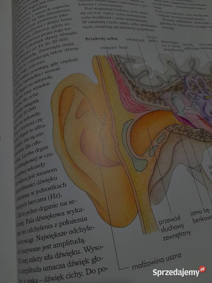 Książka edukacyjna Ciało człowieka Wiedza w Jarosław