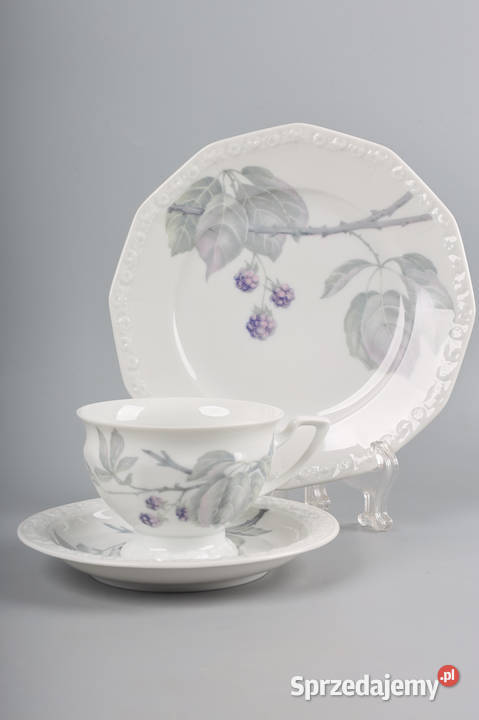 ARTexpert Rosenthal maria filiżanka jeżyna zachodniopomorskie Szczecin