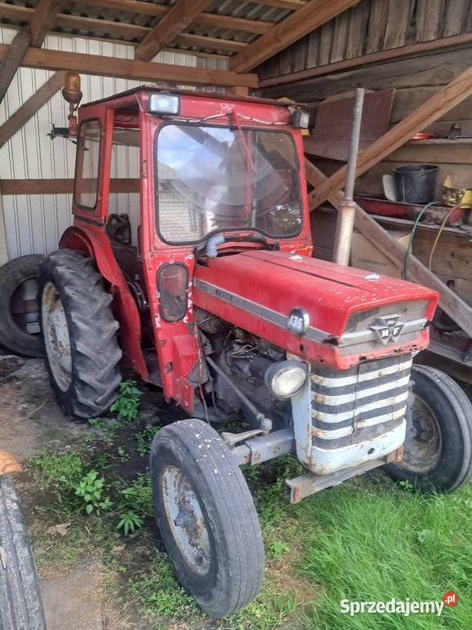 Massey ferguson 135 Klonownica Mała