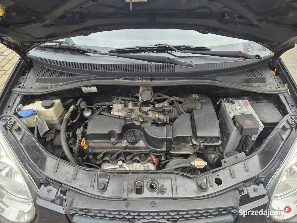 Kia Picanto automat zwykly 11 benzyna bez rdzy benzyna Gdynia