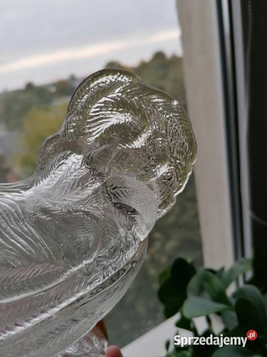 Kogut bombonierka z Ząbkowic Mielec