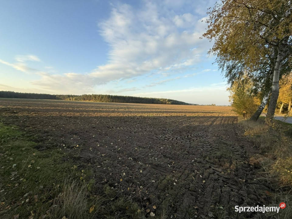 SPRZEDAŻY DŁUGOTERMINOWEJ DZIERŻAWY ŻWIROWNI Kochowo