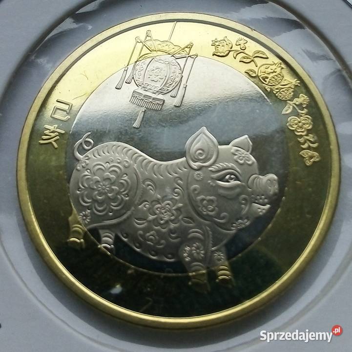 CHINY 10 YUAN 2019 r ŚWINI W HOLDERZEBŁADNA sprzedam