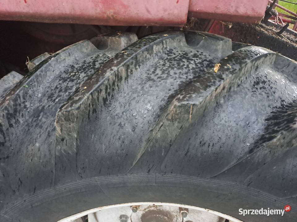 Bizon Z056 Kombajn Zbożowy kujawsko-pomorskie Brześć Kujawski