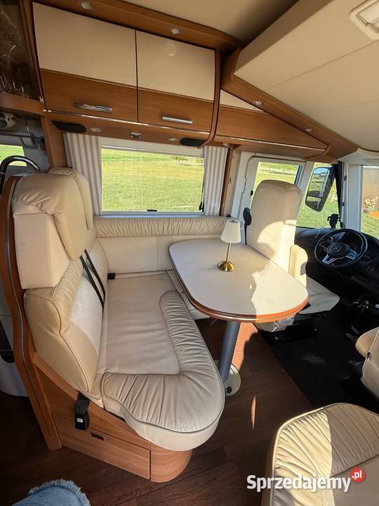 CARTHAGO CLINE CHIC I 49 LE Superior Opole