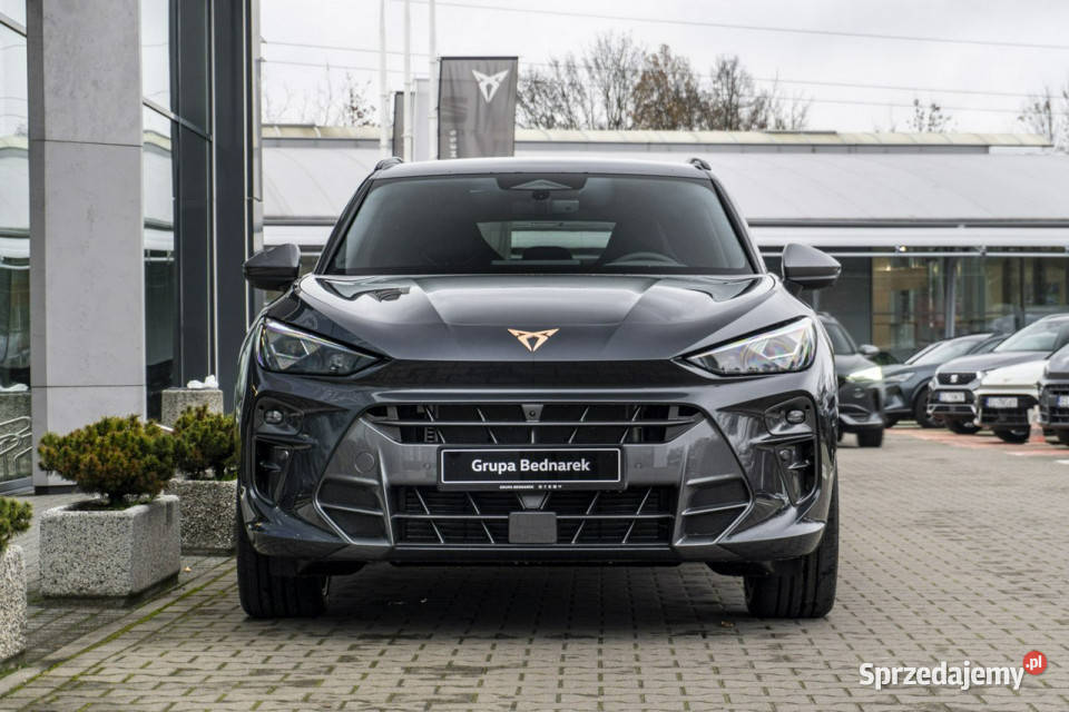 Cupra Terramar Advantage Edition 20 TSI 204 DSG Motoryzacja Łódź