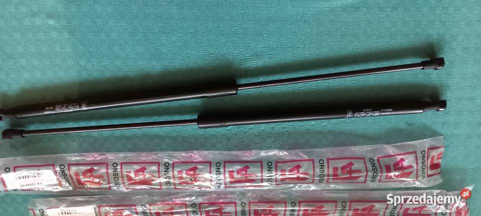 Nowy komplet siłowników klapy Pruszcz Gdański