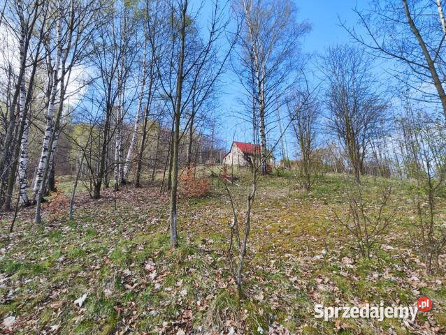 Sprzedaż działki Piechowice 1349m2