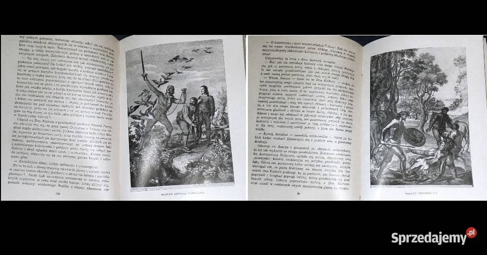 Przemyślny szlachcic Don Kichot z Manczy Miguel Pozostałe lubelskie