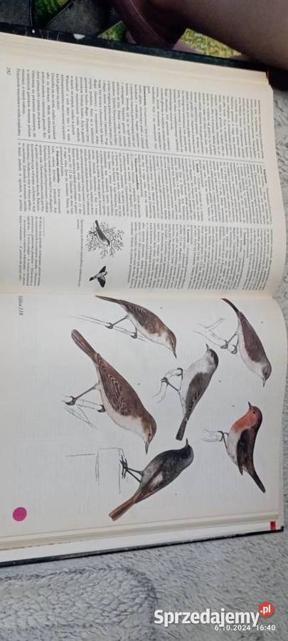 Świat Zwierząt Częstochowa