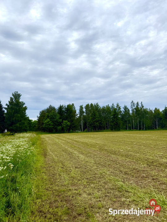 sprzedaży gruntu 3128m2 Błaskowizna podlaskie