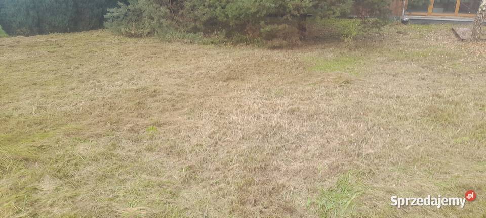 Koszenie kosą spalinową Wrocław