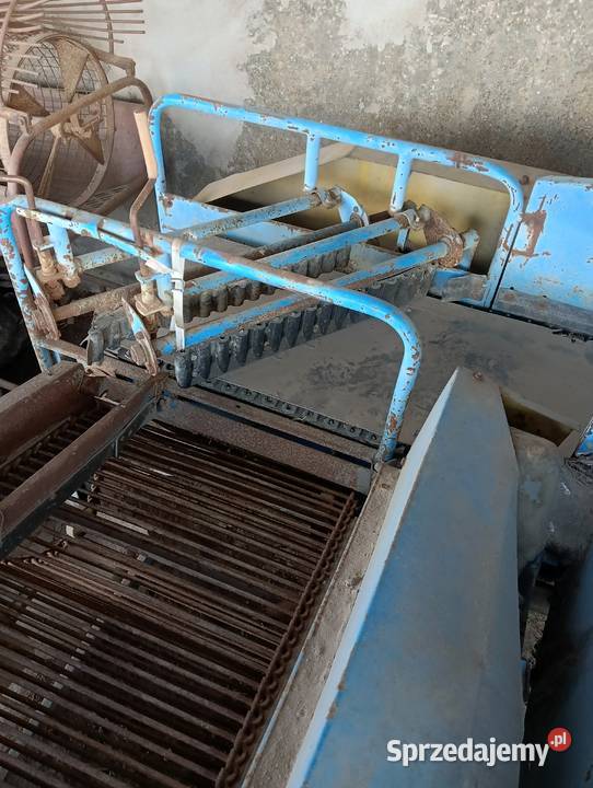 Kombajn do cebuli ziemniaków selerów Bolko Witonia