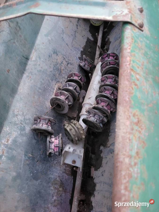 Siewnik poznaniak 2 sztuki mazowieckie Miedniewice