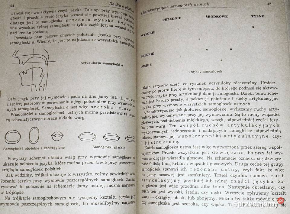Piotr Bąk Gramatyka Języka Polskiego Gramatyka języka polskiego. Zarys popularny - Piotr Bąk Chełm