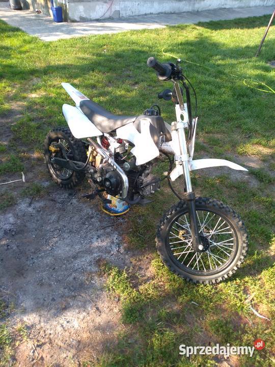 Cross 110125 Rok produkcji 2016