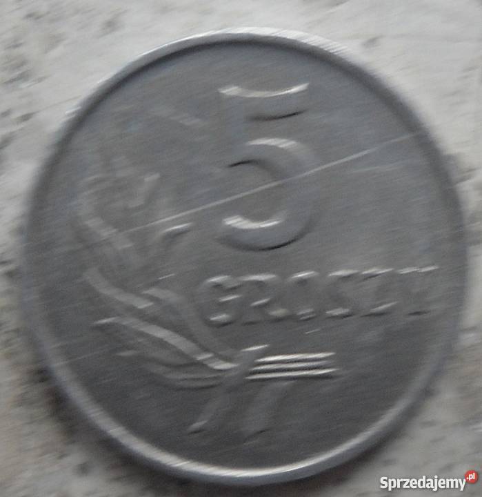 POLSKA5 GROSZY1962 r bzAL sprzedam