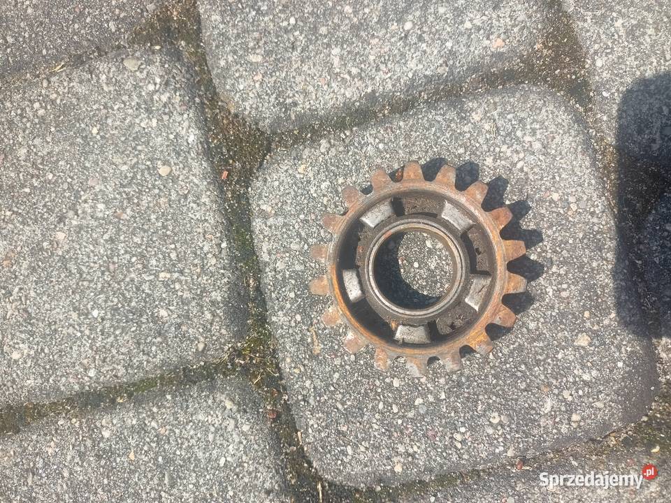 Harley WLA drugi bieg kujawsko-pomorskie Bydgoszcz