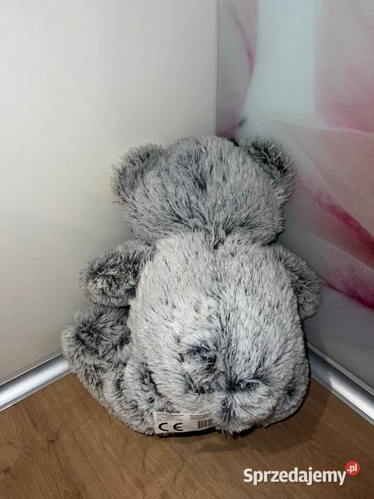 Piękny niebieski misiu z czerwoną kokardką Gdańsk