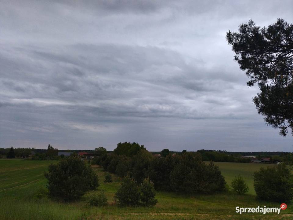 Działka budowlana Świerczyna