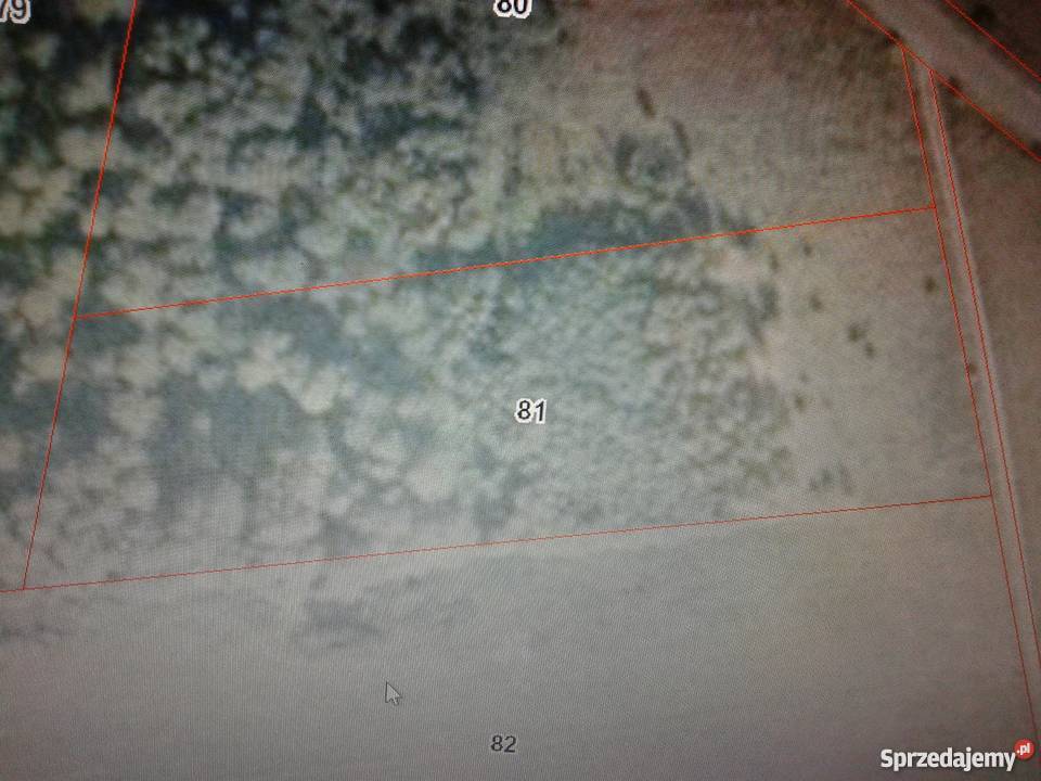 Sprzedam Działki Leśne Kitki gm Dzierzgowo Grunty i działki Mława