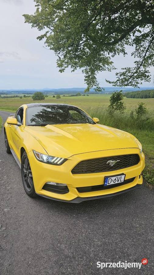 Ford Mustang 37 BLPG 2015r dolnośląskie Zawidów