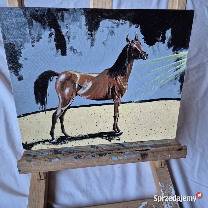 Obraz koń arabski arab stadnina białka Janów