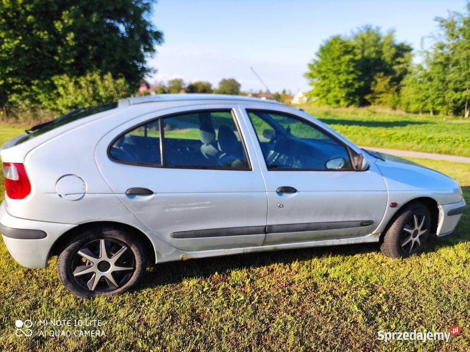 Renault Megane 1 14 16v 95 z 2002 benzyna Hatchback Samochody osobowe Sandomierz sprzedam