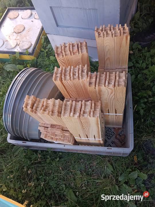 Ule Sosnowiec