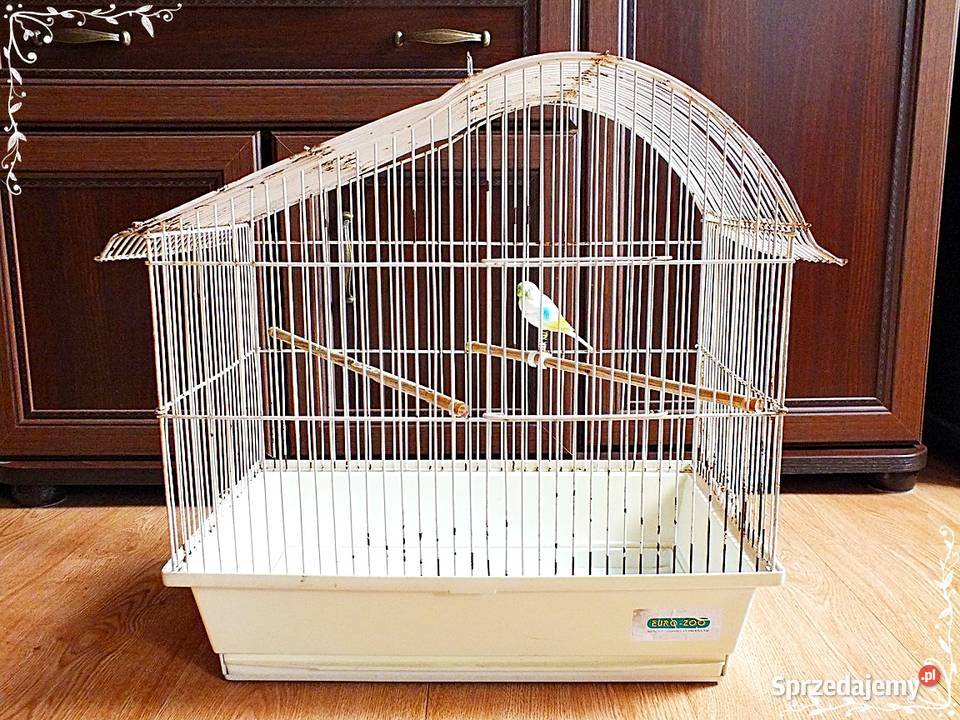 Biała klatka ptaków kanarki zeberki 46x49x30 Lubsko sprzedam