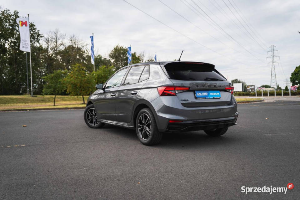 Skoda Fabia 10 TSI
