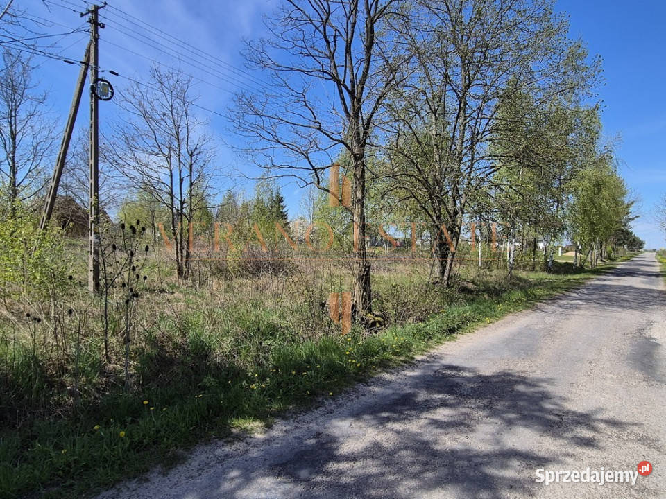 Działka położona wśród lasów nieopodal zalewu asfalt Trzepnica