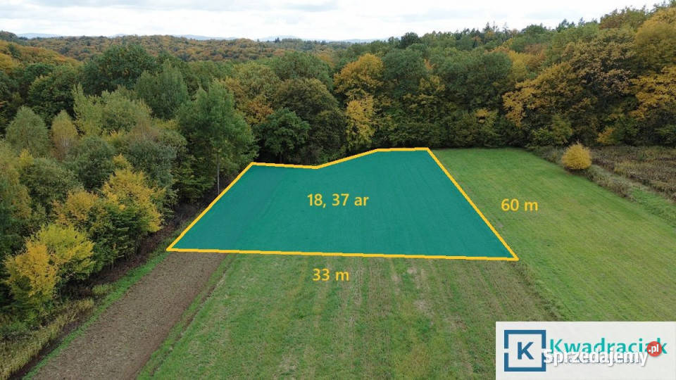 Sprzedaż działki 1837m2 Laski budowlana