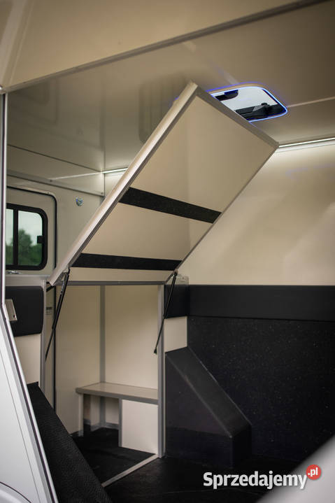 Nissan NV400 KONIOWÓZ Samochód do przewozu koni Rok produkcji 2016 wielkopolskie Rokietnica