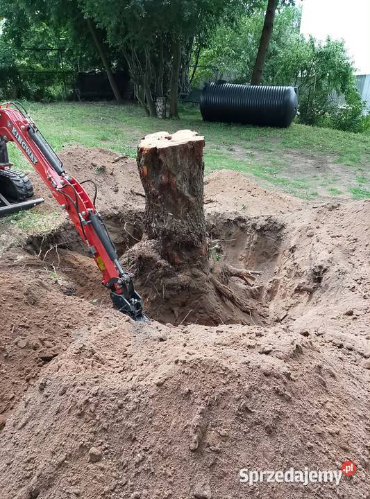 Usługi minikoparką śląskie Będzin