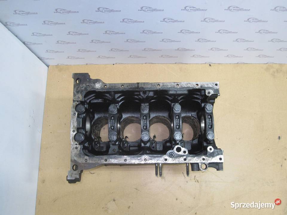 FORD KUGA 20 TDCI 140 09R G6DG D4204T 141 BLOK osobowe sprzedam