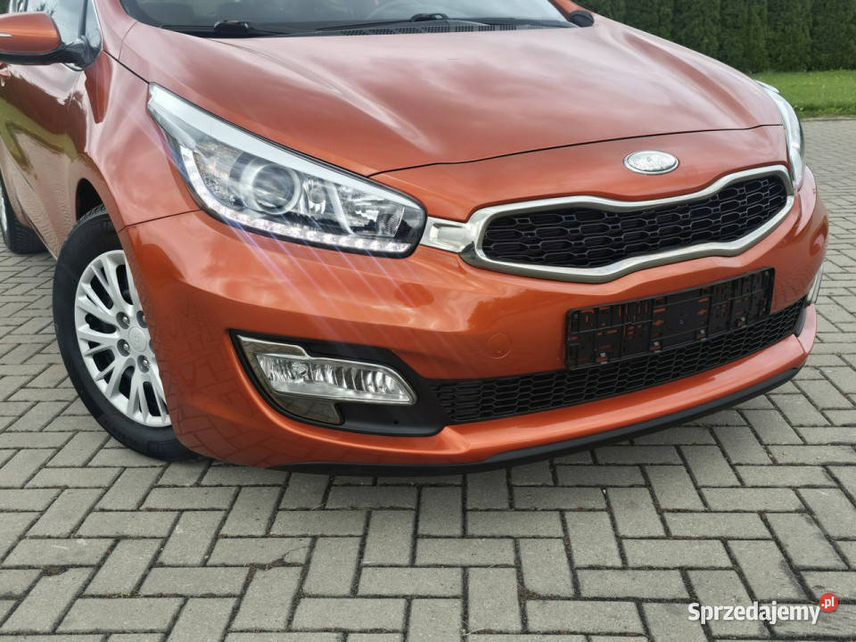 Kia Pro Ceed 16Benz ProCeedNaviLedyKamera elektrochrom. lusterko wst. łódzkie Kutno