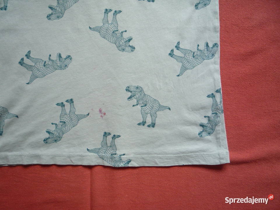 HM r 134 Niebieskozielona Koszulka Dinozaury chłopiec Szczecin