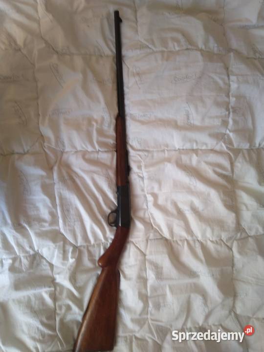 Czarnoprochowy replika podkarpackie Ustrzyki Dolne