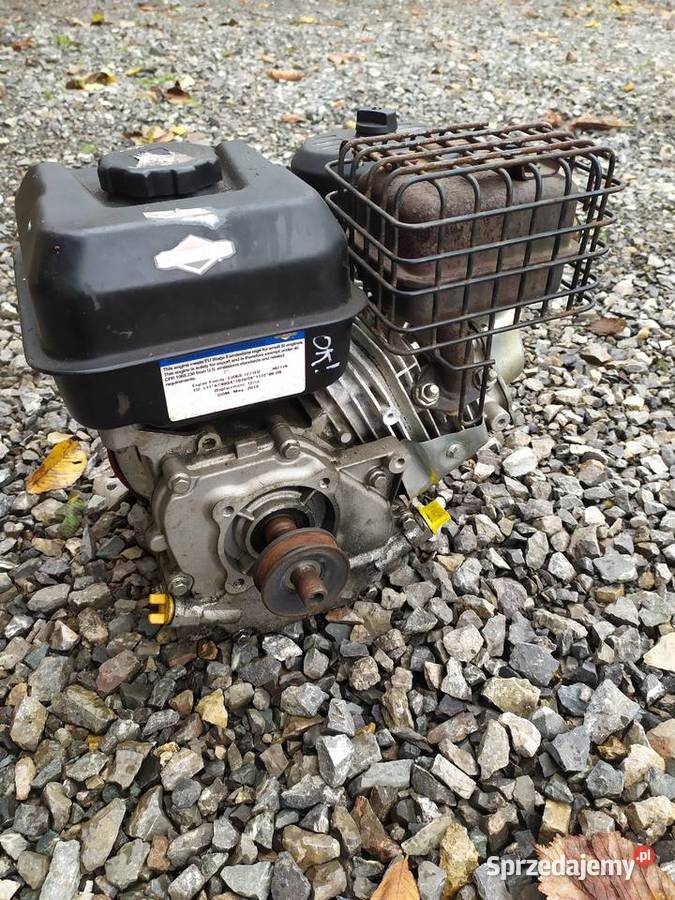 Silnik BriggsStratton 550 series 127cc boczny Stare Wierzchowiska