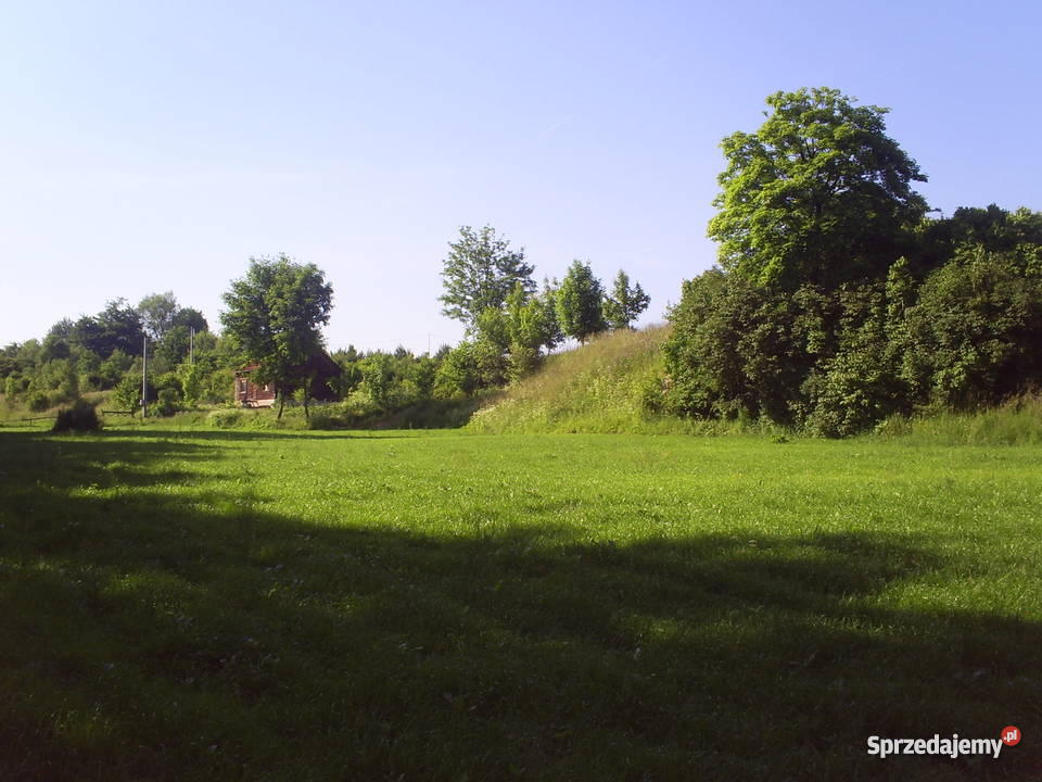 działka pod lasem Grunty i działki Szreniawa