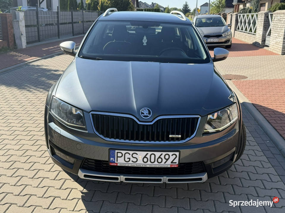 koda Octavia Skoda Octavia Scout 4x4 20TDI 2014 Gostyń
